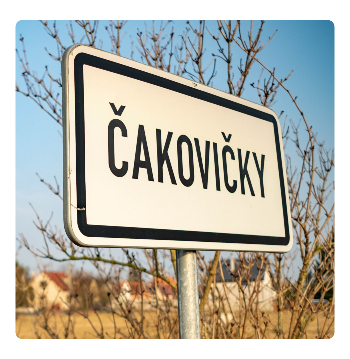 cakovicky_2